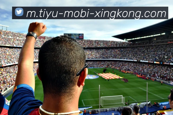 App Interface Preview