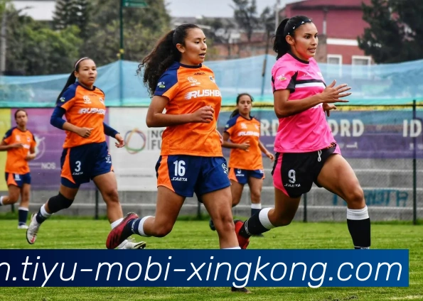 星空体育APP 封面图